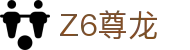 尊龙·Z6 (中国认证)集团有限公司官网